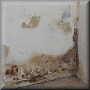 Verhinderung aufsteigender Feuchtigkeit