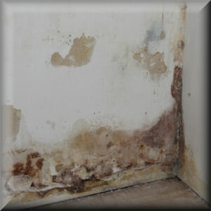 Verhinderung aufsteigender Feuchtigkeit